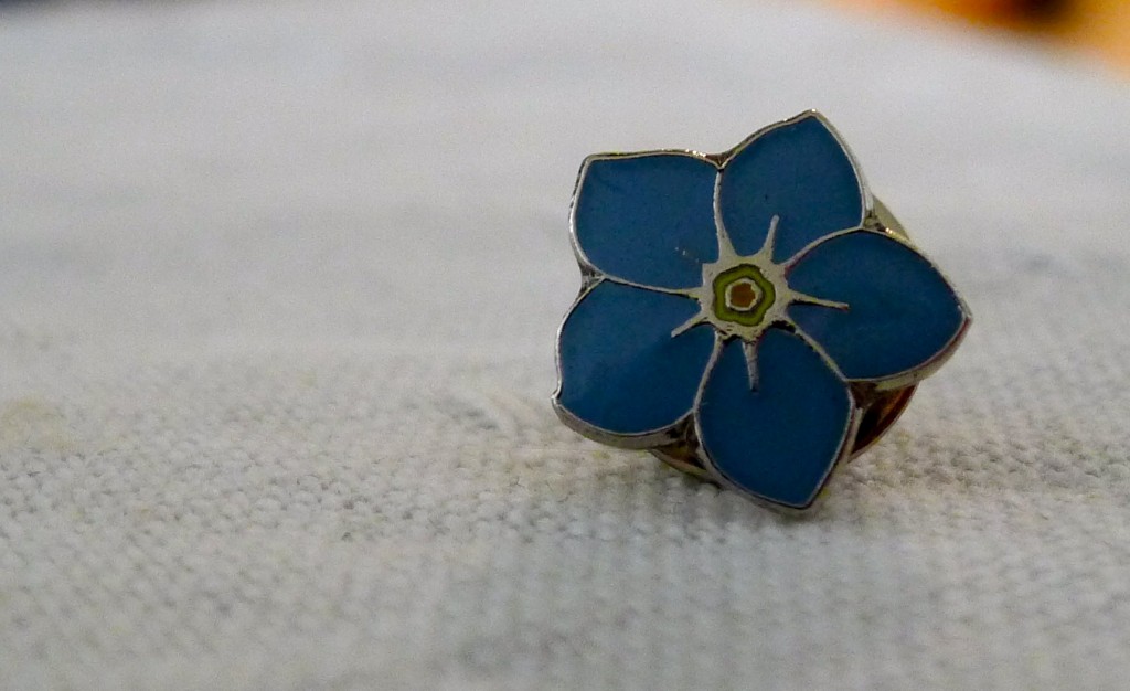 Forget-me-not