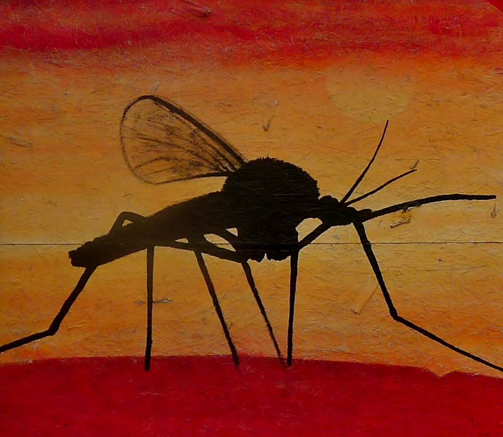 giant mosquito