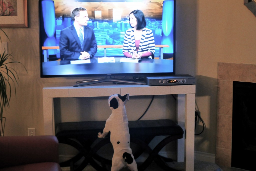 Grover loves Ch. 2 too!