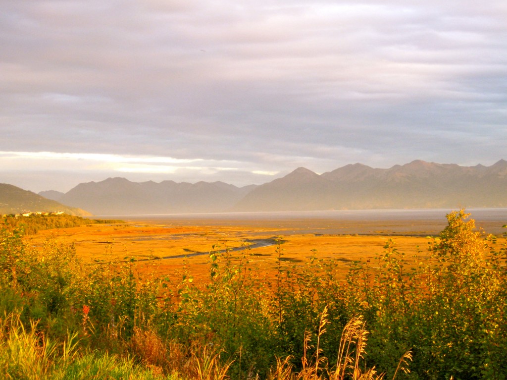 Alaska beauty