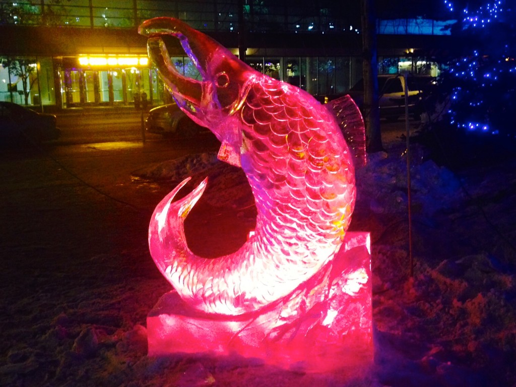 ice fish